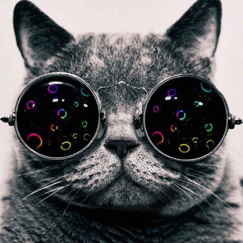Featured Image for pubX is hiring a Data Scientist